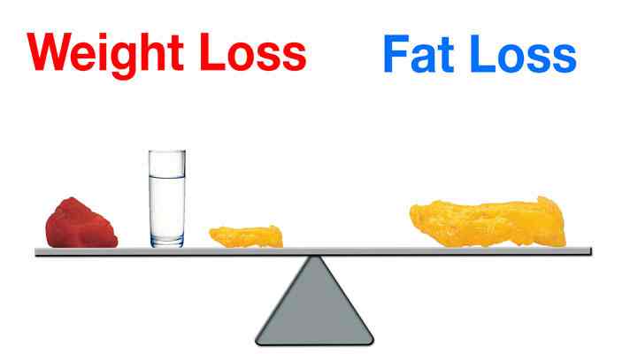 Difference Between Weight Loss and Fat Loss